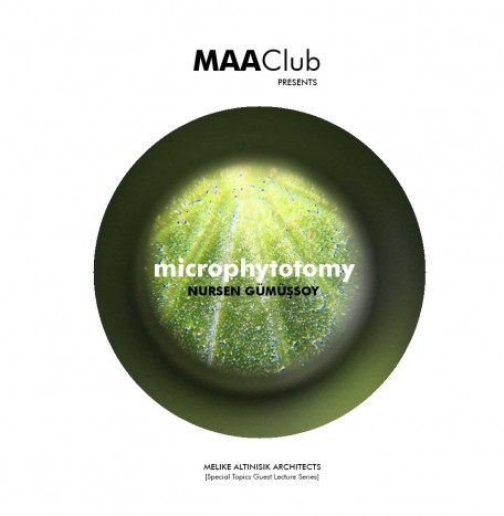 Microphytotomy